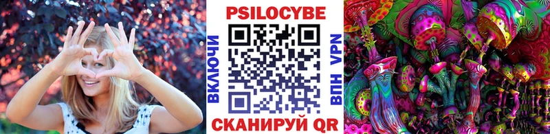 Купить  Инта  Галлюциногенные грибы Psilocybe 
